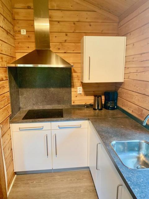 2 Bedroom Fins Chalet Gramsbergen Εξωτερικό φωτογραφία